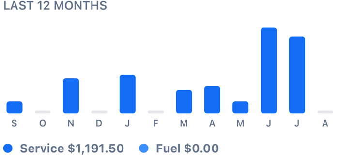 Costs sheet in the app: twelve-month bar chart of service and fuel spending